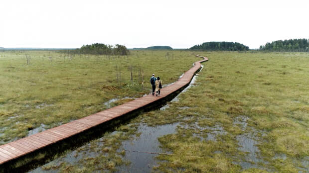 К 2030 году число экотроп в Петербурге вырастет до 30