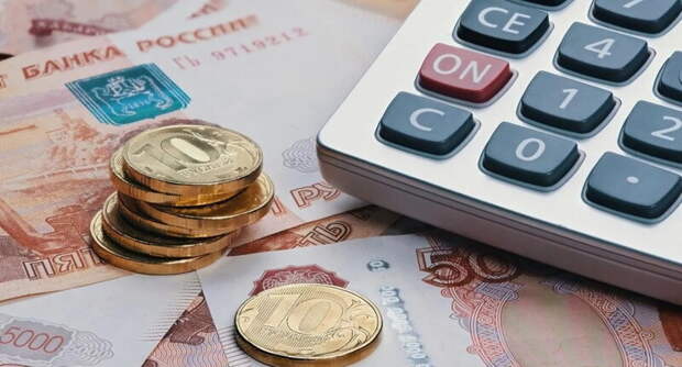 Росстат планирует усилить контроль за доходами и расходами россиян