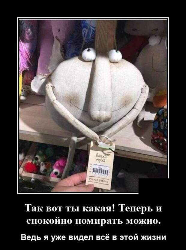 Демотиватор про спокойствие