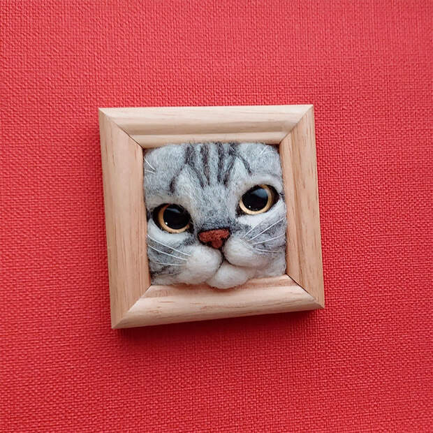 Кошачьи мордочки из шерсти, которые пытаются вылезти из рамки