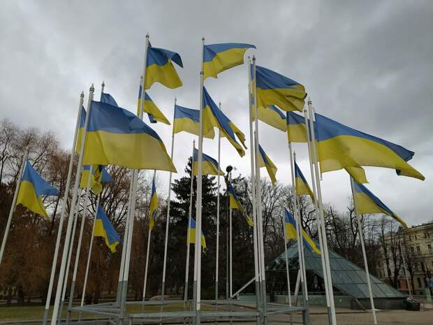 Шесть украинок объявили в розыск за уклонение от мобилизации