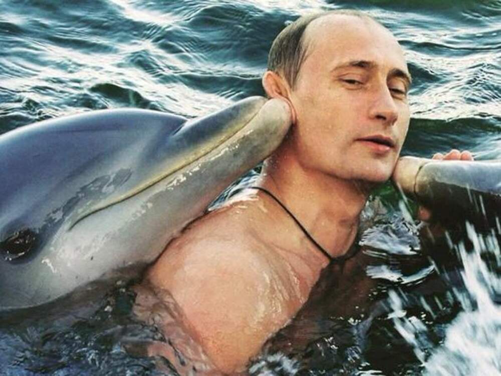 Ути путин картинка