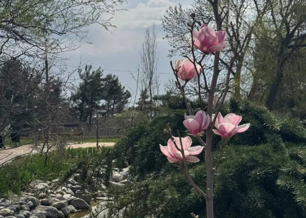 Самый ненормальный июнь за два десятилетия: что говорят метеорологи о погоде