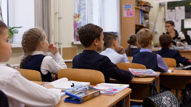 Депутат Смолин: родителей необходимо штрафовать за хамство детей учителям