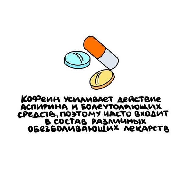 Интересные и коротенькие факты на все случаи жизни