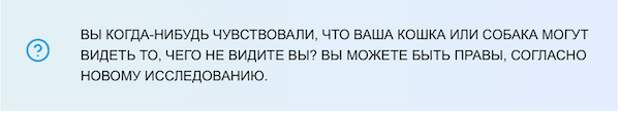 Наука подтверждает: кошки и собаки могут видеть «духов»!