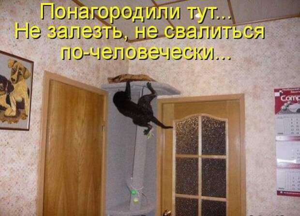 Мысли вслух :)