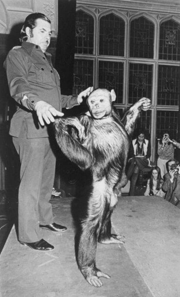 Опыты советского ученого по скрещиванию человека с обезьяной