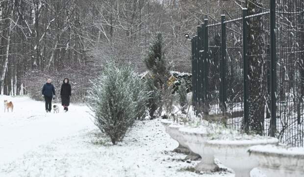 Врач Сайно: Сезон гриппа в Москве может продлиться из-за морозов
