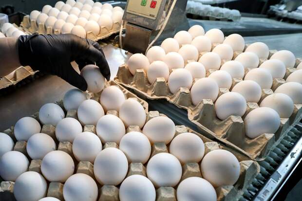 Производители мяса птицы и яиц договорились о сдерживании цен