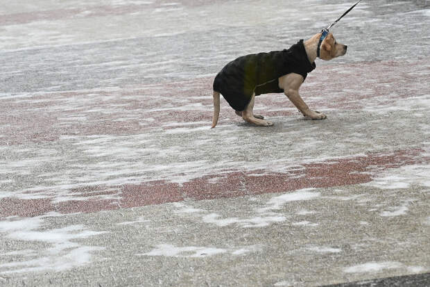 Синоптик Тишковец: Москву 15 февраля накроют снег и мороз до –10°C