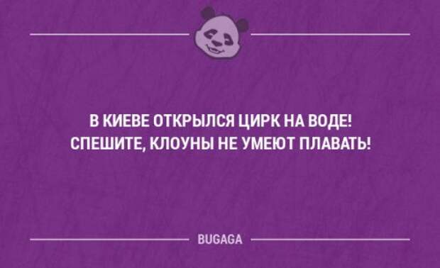 Смешные высказывания и мысли в картинках с надписями. Часть 102 (20 шт)