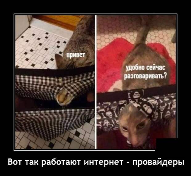 Демотиваторы 31 января 2022 года
