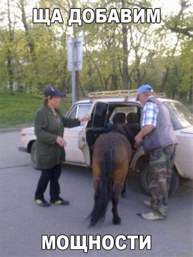 АВТОприколы на Бугаге (26 фото)