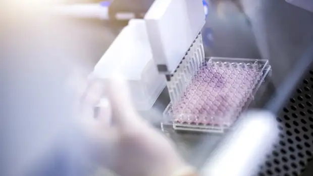 В Нижегородской области зафиксировали 2569 случаев COVID-19 за сутки