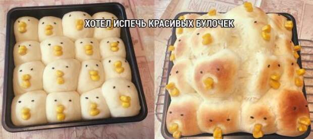 Пятничный пост прикольных картинок (42 шт)