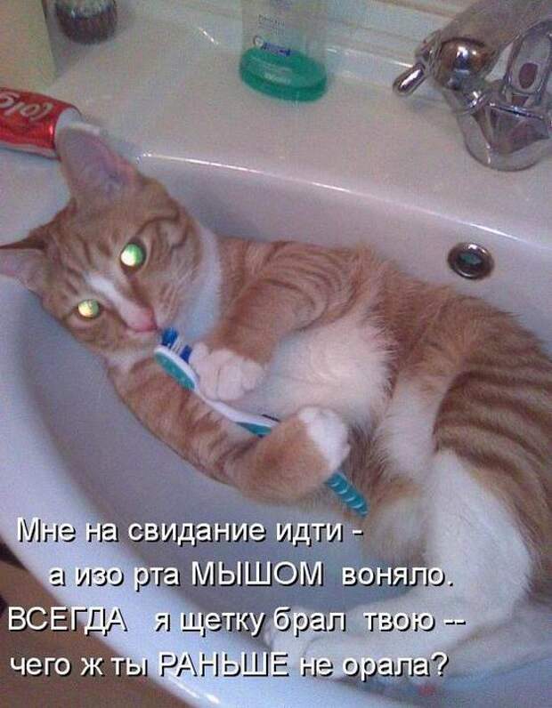 Мысли вслух :)