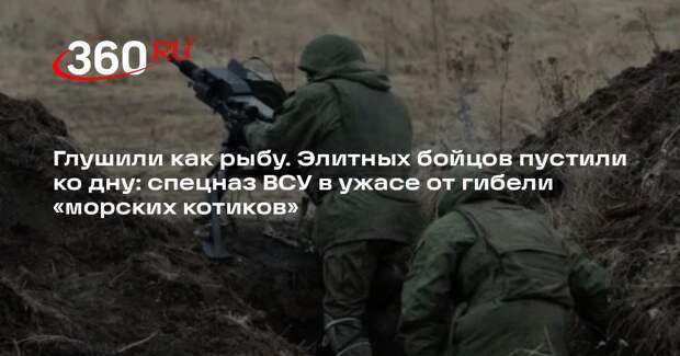 Aif.ru: войска России поразили базы водолазов-диверсантов из ВСУ