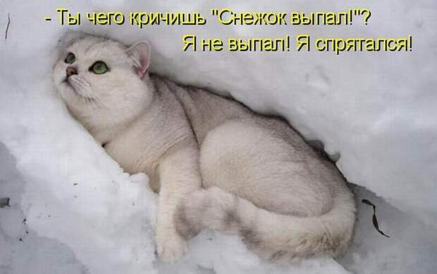 Мысли вслух :)