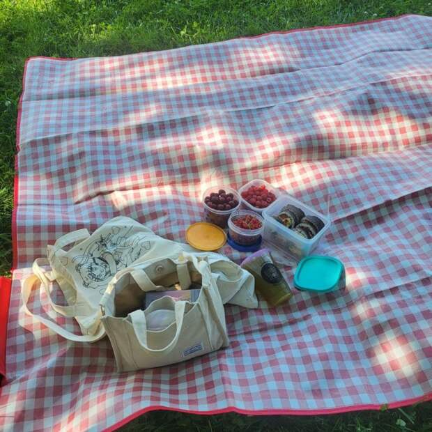 Не берите это на природу! Врач назвала главные риски пикника