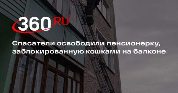 Спасатели освободили пенсионерку, заблокированную кошками на балконе