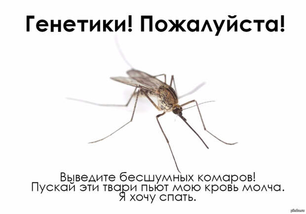 1434613279_1067808710 (700x490, 92Kb)