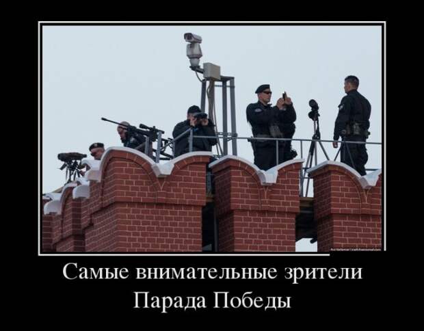 Демотиваторы (30 фото)