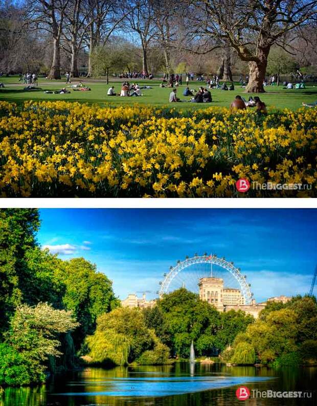 Красивые парки Лондона: st james park