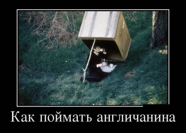 Демотиваторы Демотиваторы