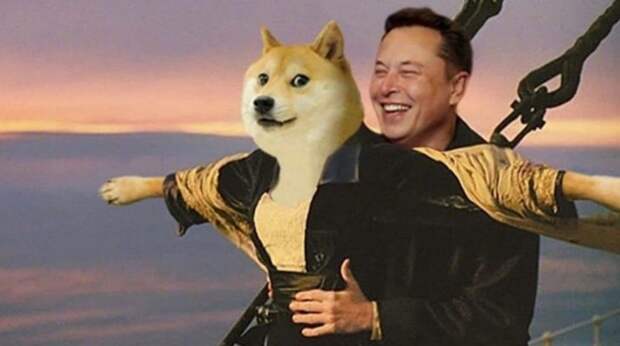 Dogecoin прибавил 30% после нового заявления Илона Маска