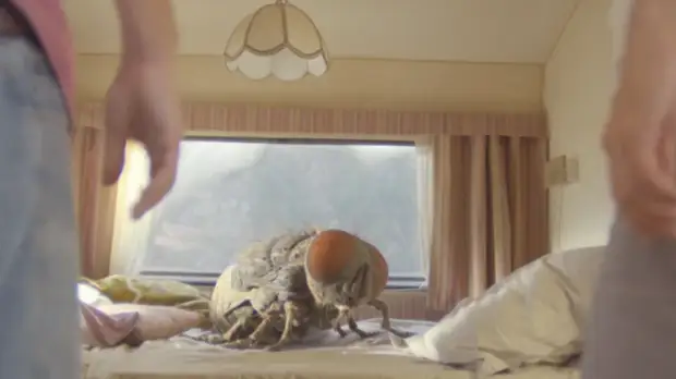 Тайны американского гангстера и дрессировка гигантской мухи: новые фильмы в российском прокате