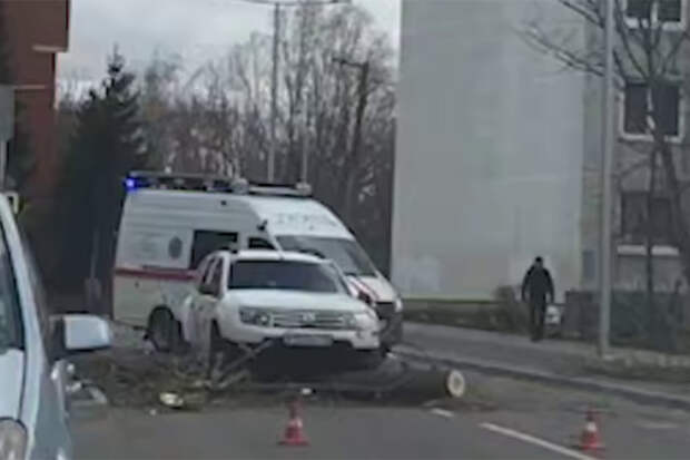 В российском городе деревья попадали на машины