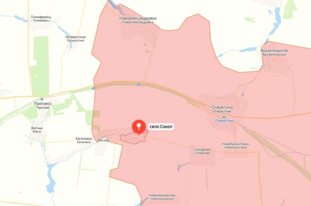 Штурмовики 15-й мотострелковой бригады со своим флагом в селе Сокол под