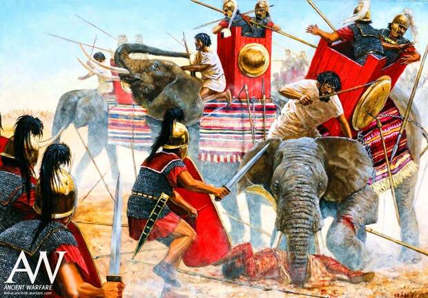 Легионеры Цезаря «валят» нумидийских слонов на службе римских же республиканцев, Битва при Тапсе. Art by Seán Ó'Brógáín