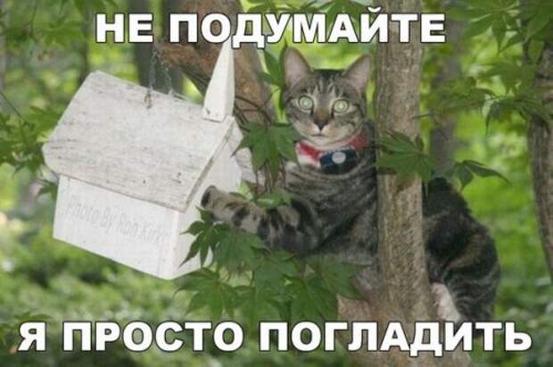 Пятничный пост прикольных картинок (42 шт)