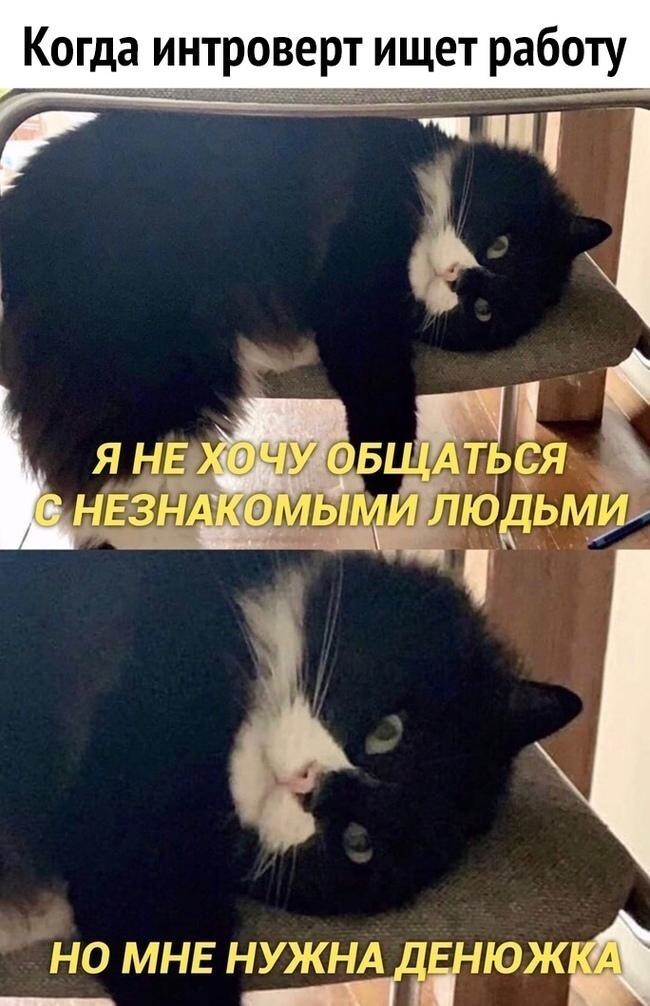 Хуже всего интровертам Хуже всего интровертам