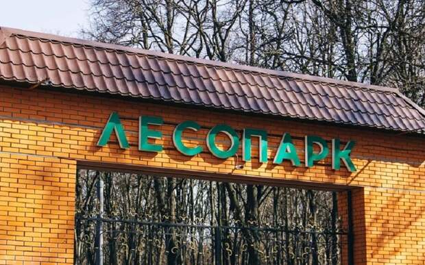 В Рязани 16 февраля закроют парковку у Лесопарка из-за уборки снега