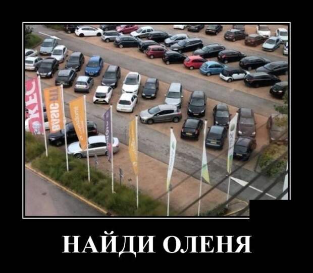 www.vsyako.net