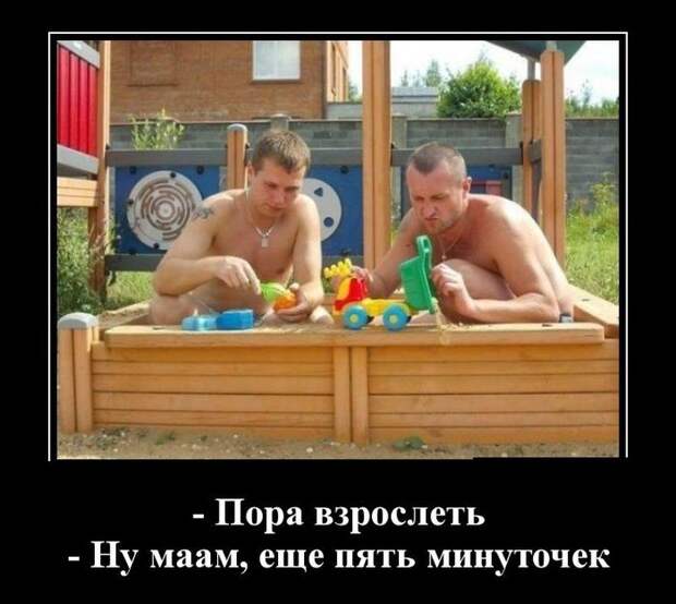 1.  демотиватор, прикол, юмор
