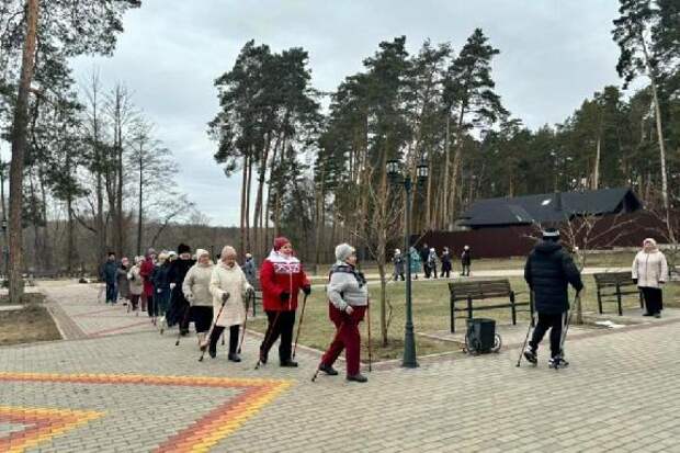 В Тамбове для пенсионеров провели мастер-класс по скандинавской ходьбе