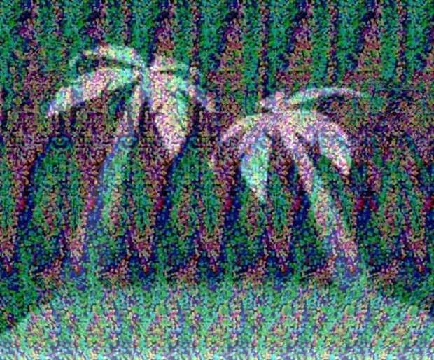 magiceye.com