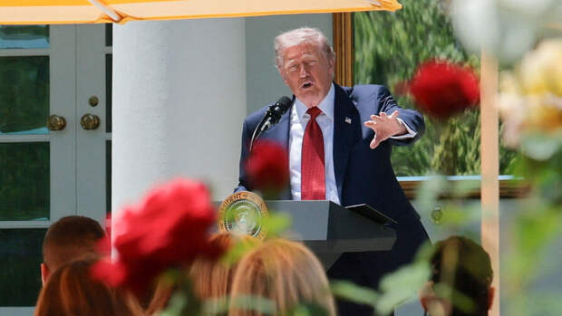 Трамп объявил о перемирии между Россией и Украиной до 11 мая и обмене пленными
