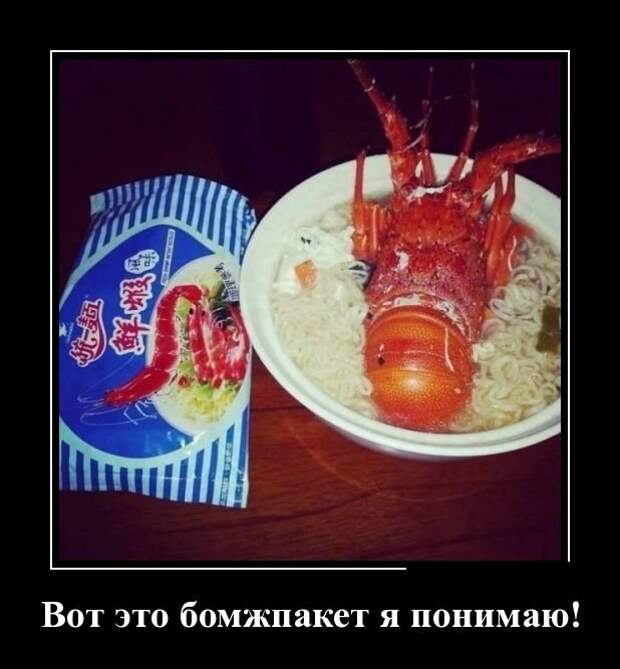 Демотиваторы на субботу (30 фото)