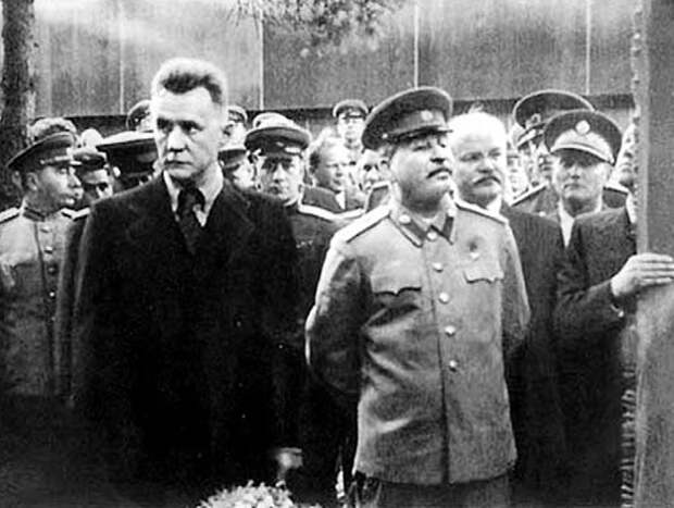 Как царевич Алексей стал главой правительства СССР