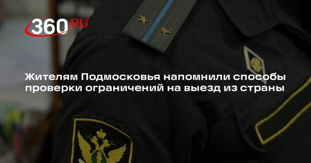 Жителям Подмосковья напомнили способы проверки ограничений на выезд из страны