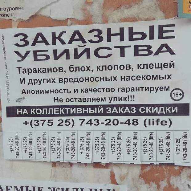 Мастерские объявления, передающие самую суть Мастерские объявления, передающие самую суть