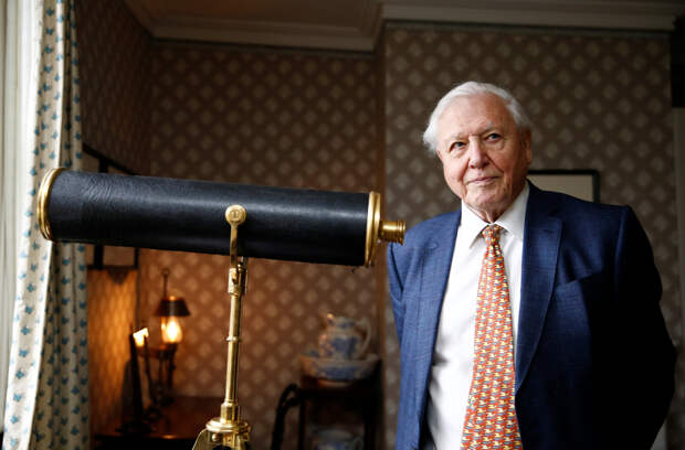 Врач назвал неочевидный секрет долголетия известного 99-летнего телеведущего