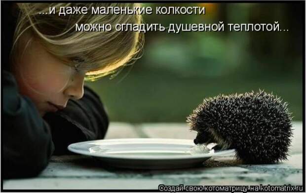 Мысли вслух :)