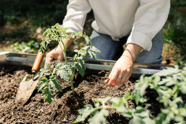 Консультант Шуракова: готовить огород к весеннему сезону выгодно зимой