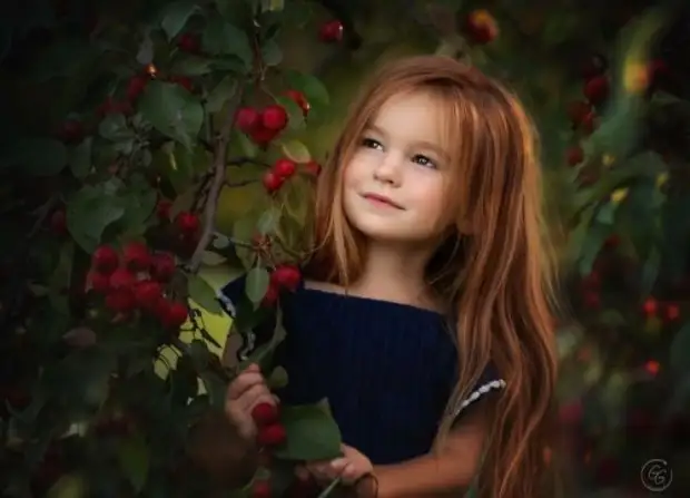 �������������� ������������ �����